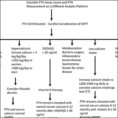 The Eucalcemic Patient With Elevated Parathyroid Hormone Levels