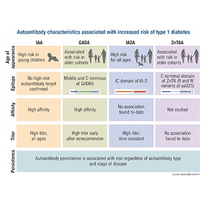 Autoantibody Advances to Predict Type 1 Diabetes | Endocrine Society