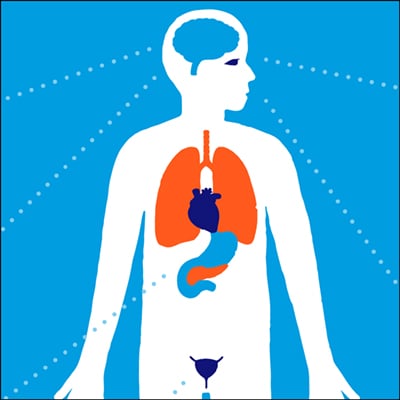 Diabetic Ketoacidosis in Pregnancy | Endocrine Society