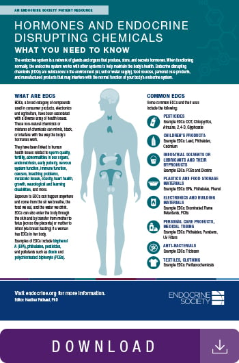 Endocrine-Disrupting Chemicals (EDCs) | Endocrine Society